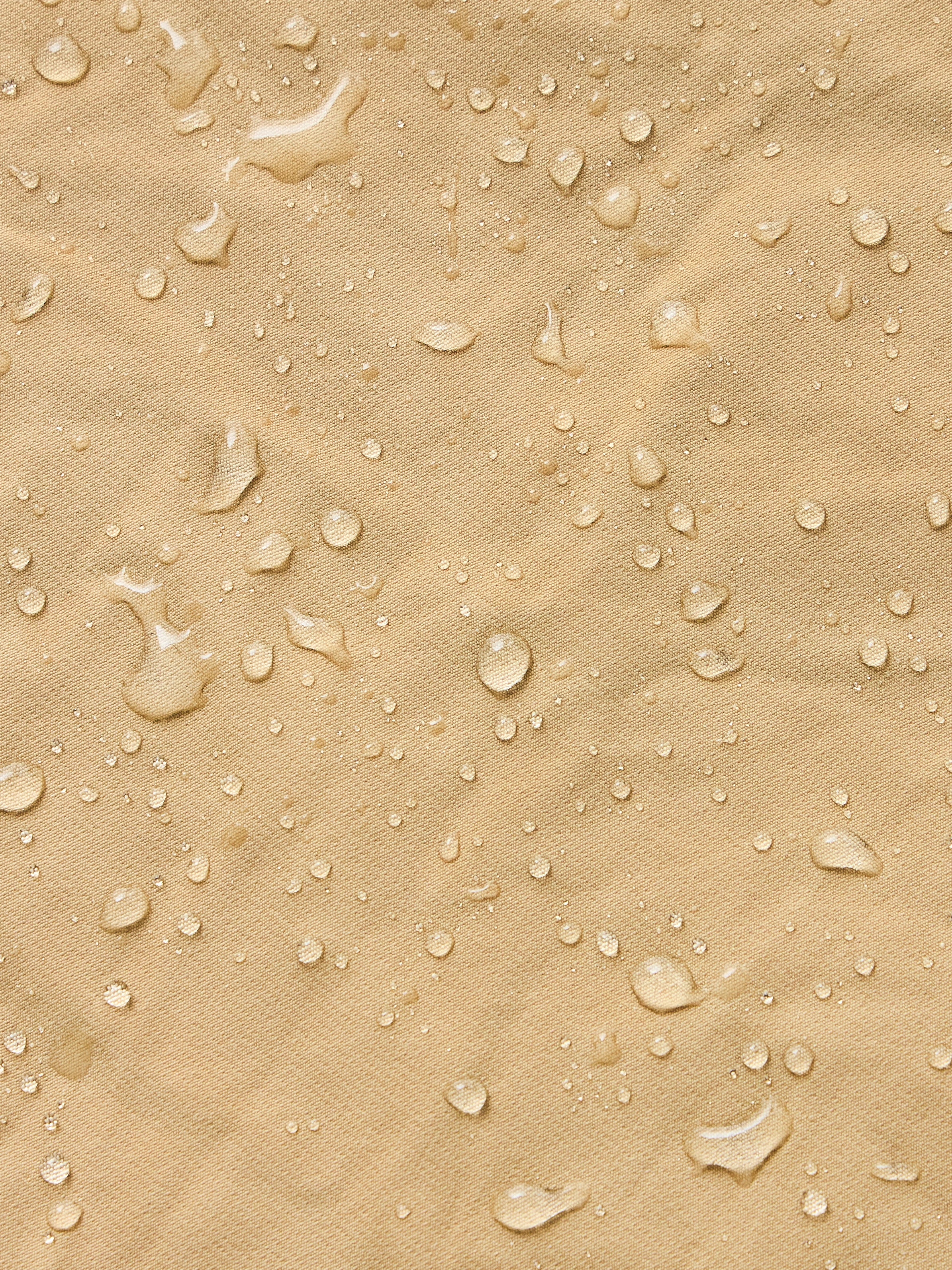 collection-banner-image
